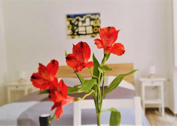 Prijeko Relax Appartement Dubrovnik