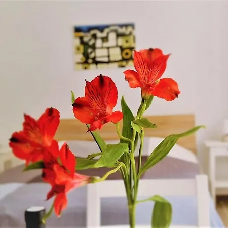 Prijeko Relax Appartamento Ragusa